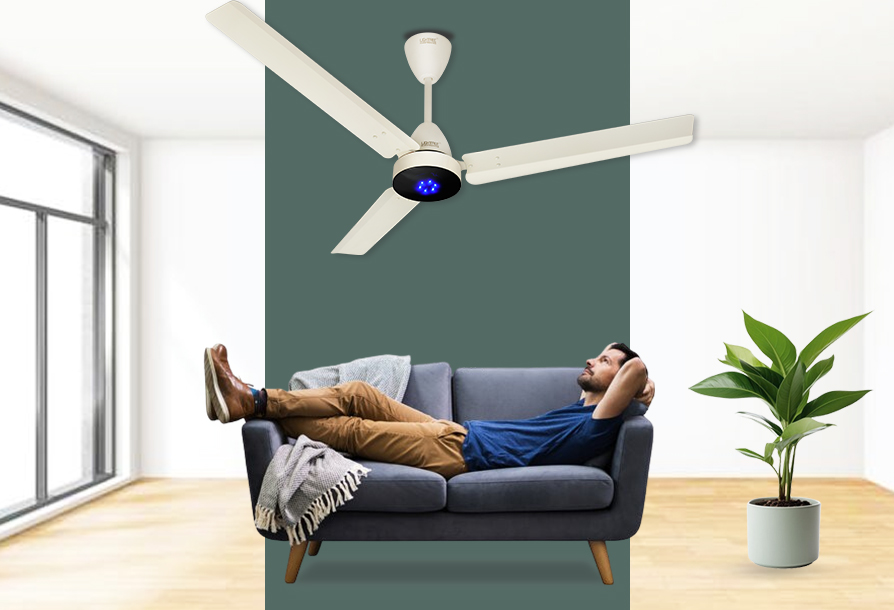 Ceiling Fan With Light